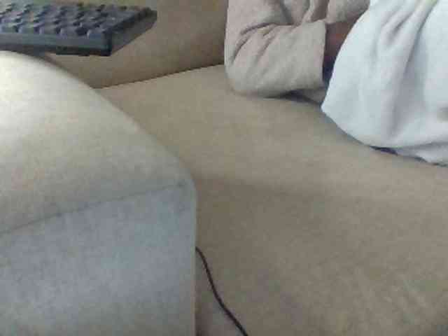 Dollie webcam