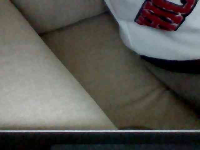 Dollie webcam
