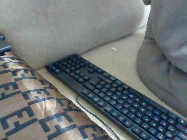Dollie webcam
