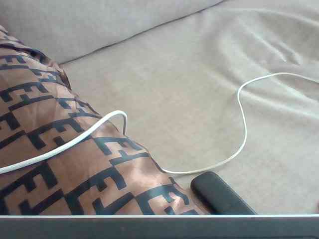 Dollie webcam