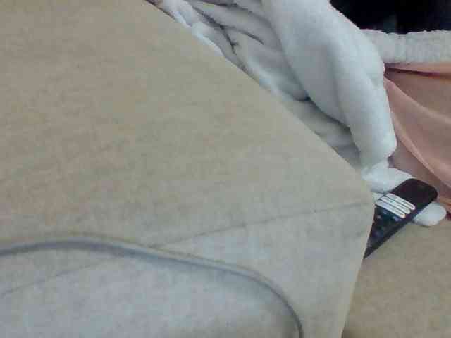 Dollie webcam