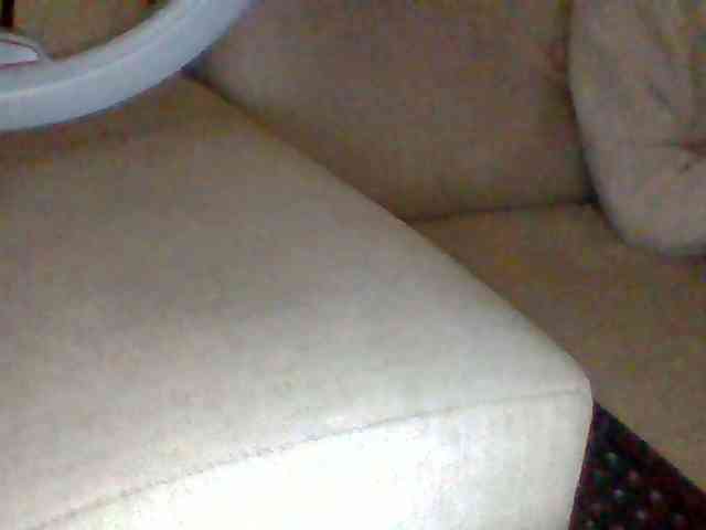 Dollie webcam