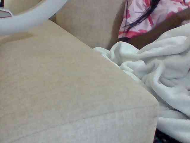 Dollie webcam