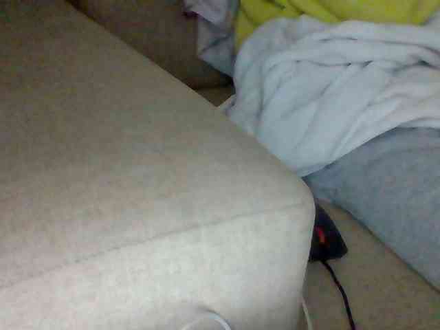 Dollie webcam