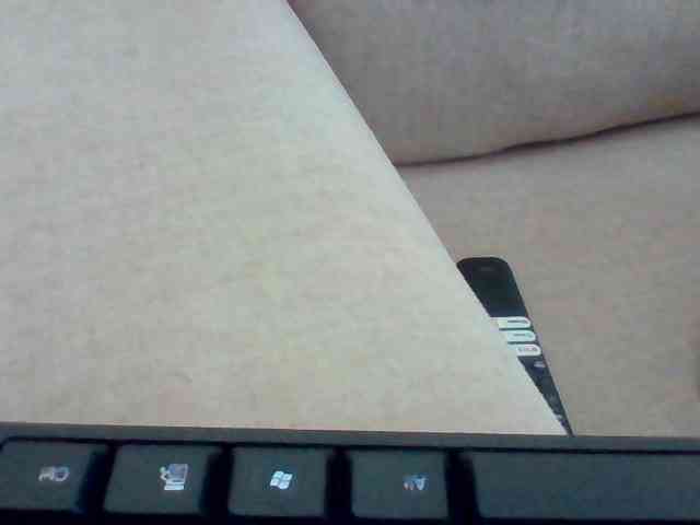 Dollie webcam