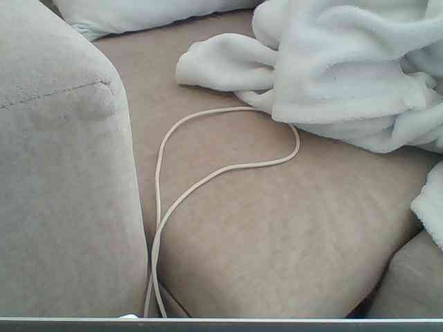 Dollie webcam