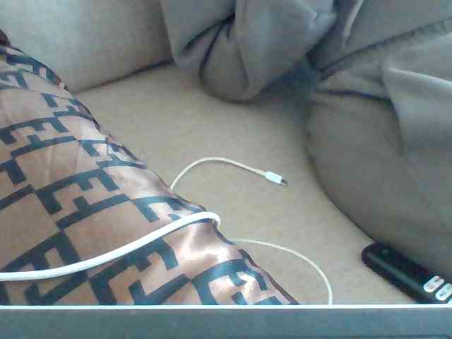 Dollie webcam