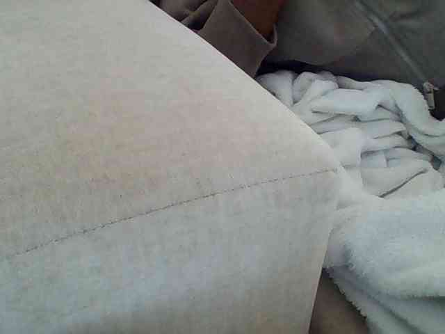 Dollie webcam
