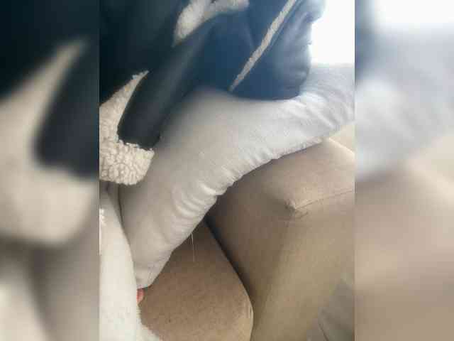 Dotrizer-1