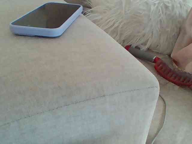Dollie webcam