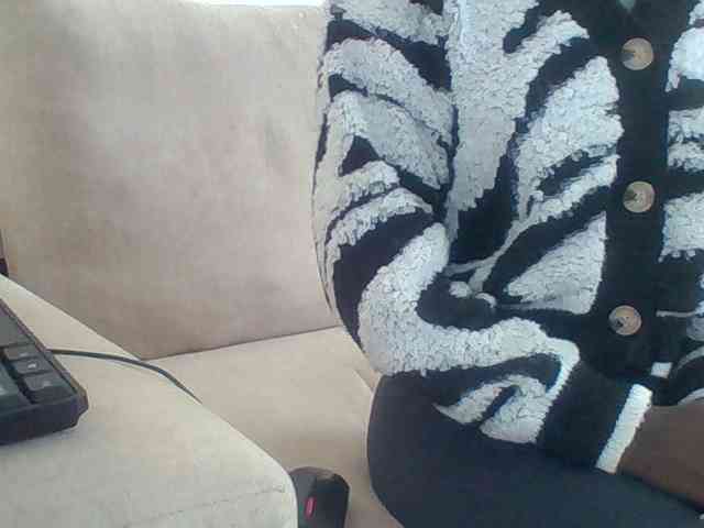 Dollie webcam
