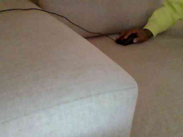 Dollie webcam