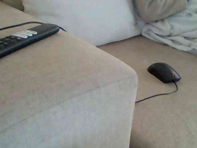Dollie webcam