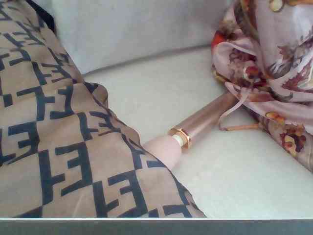 Dollie webcam