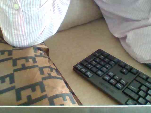 Dollie webcam