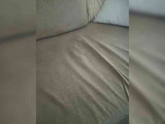 Dollie webcam
