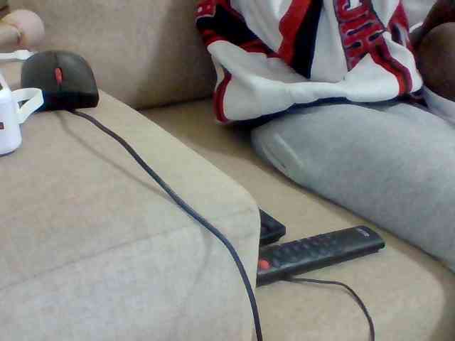 Dollie webcam