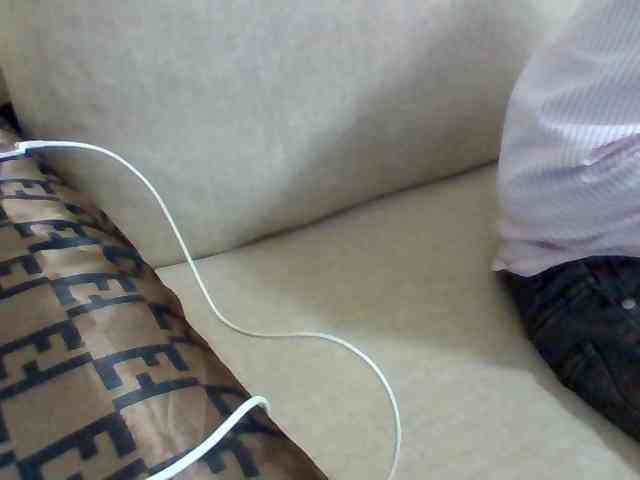 Dollie webcam
