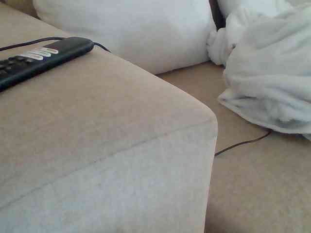Dollie webcam