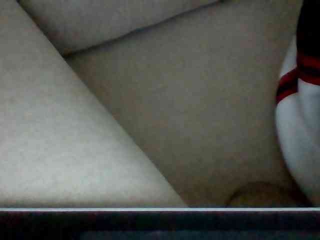 Dollie webcam