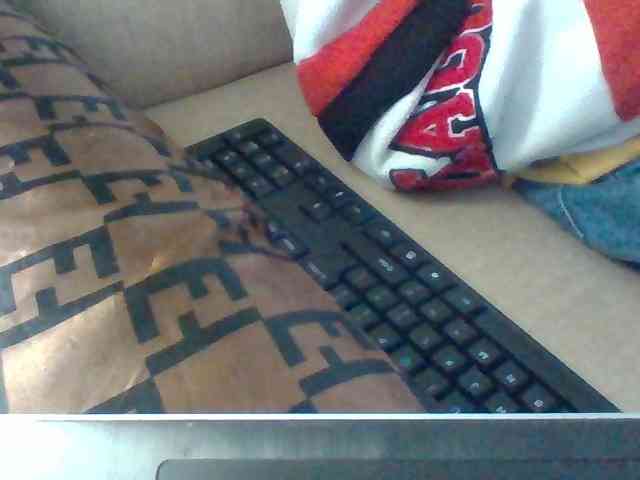 Dollie webcam