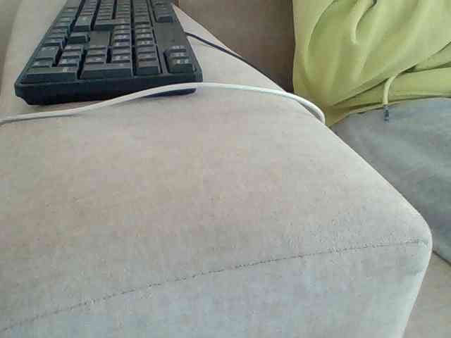 Dollie webcam