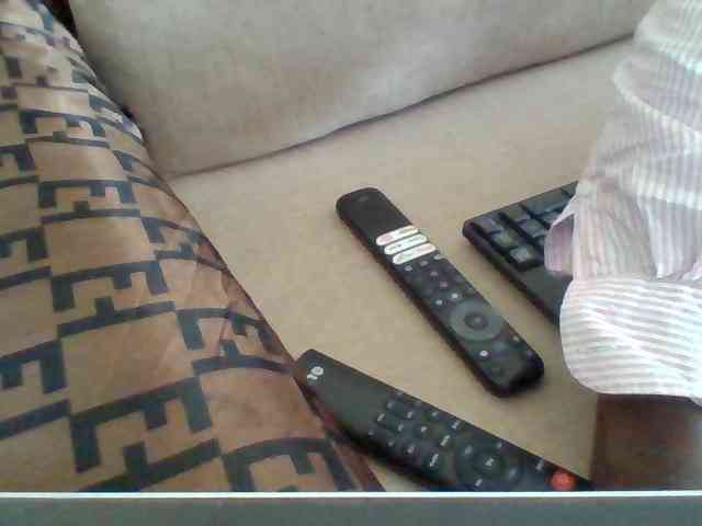 Dollie webcam