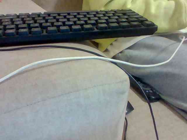 Dollie webcam