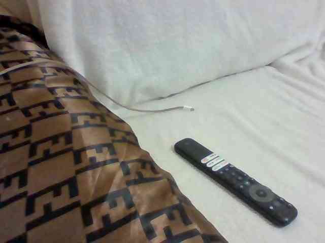 Dollie webcam