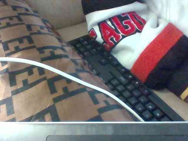 Dollie webcam