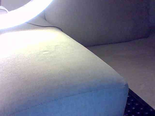 Dollie webcam