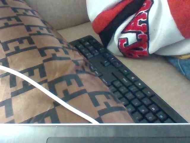 Dollie webcam