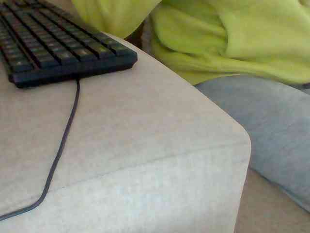 Dollie webcam