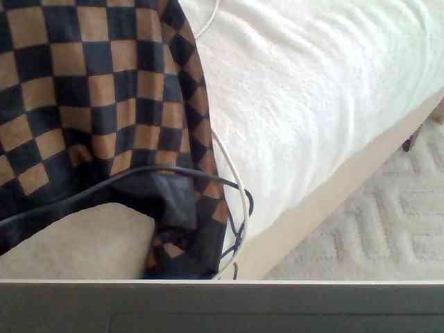 Dollie webcam