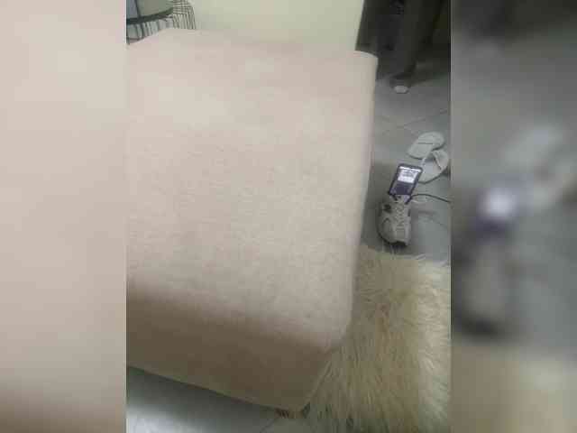 Dollie webcam
