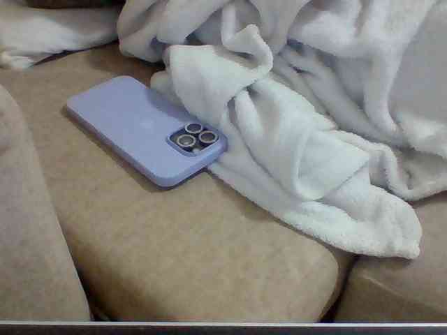 Dollie webcam