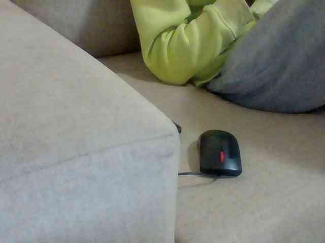 Dollie webcam