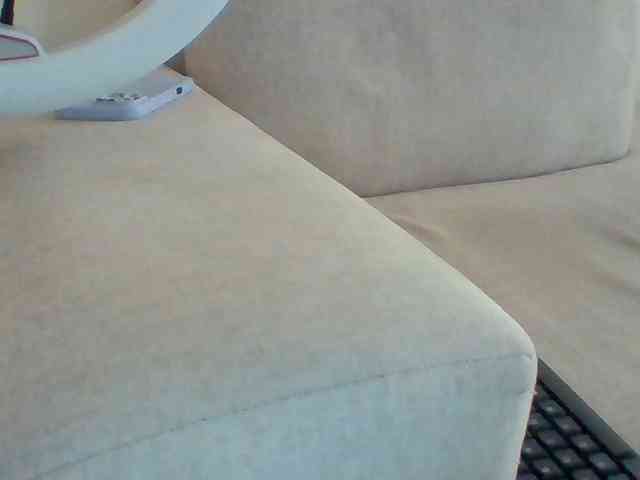 Dollie webcam