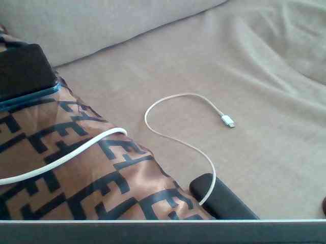 Dollie webcam