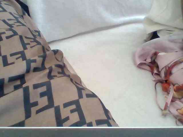 Dollie webcam