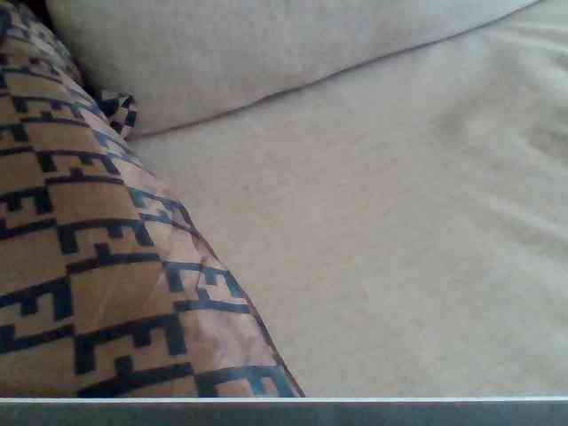 Dollie webcam