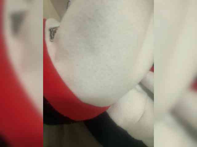 Dollie webcam