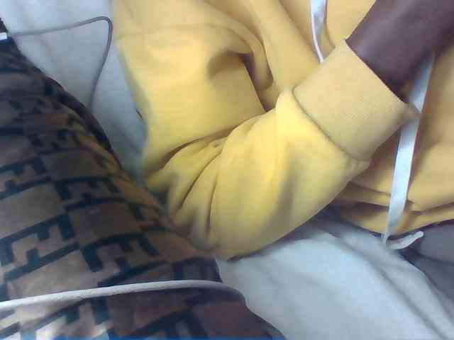 Dollie webcam