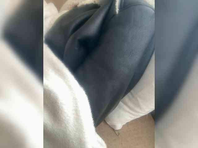 Dollie webcam
