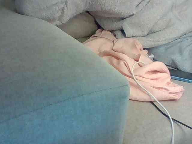 Dollie webcam