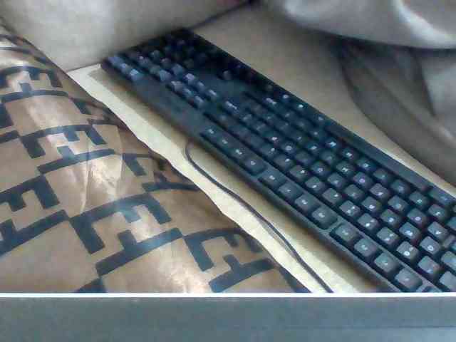 Dollie webcam