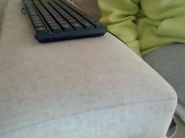 Dollie webcam