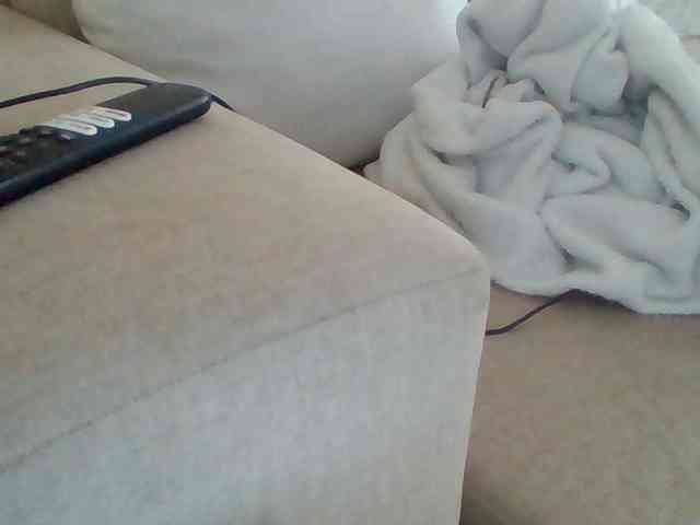 Dollie webcam