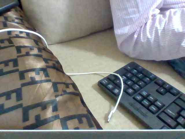 Dollie webcam