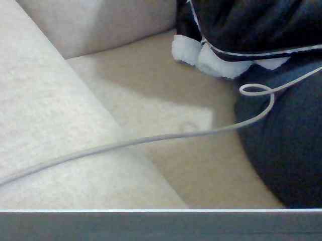 Dollie webcam